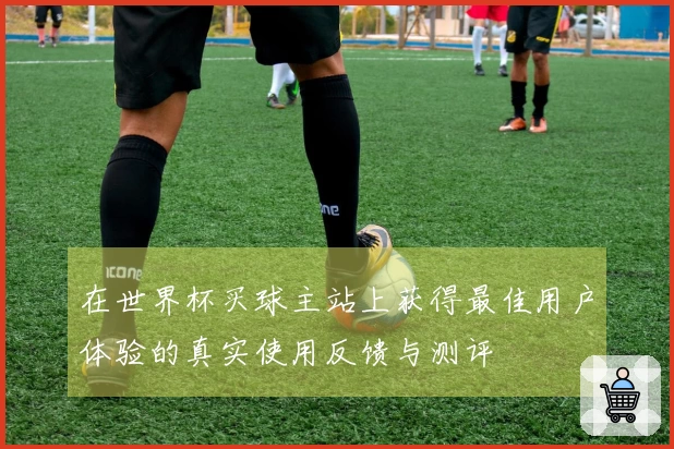在世界杯买球主站上获得最佳用户体验的真实使用反馈与测评