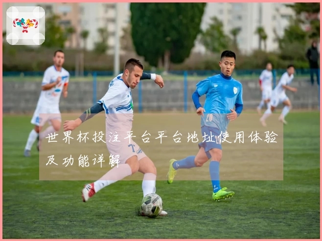 世界杯投注平台平台地址使用体验及功能详解