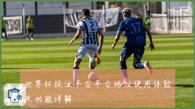 世界杯投注平台平台地址使用体验及功能详解